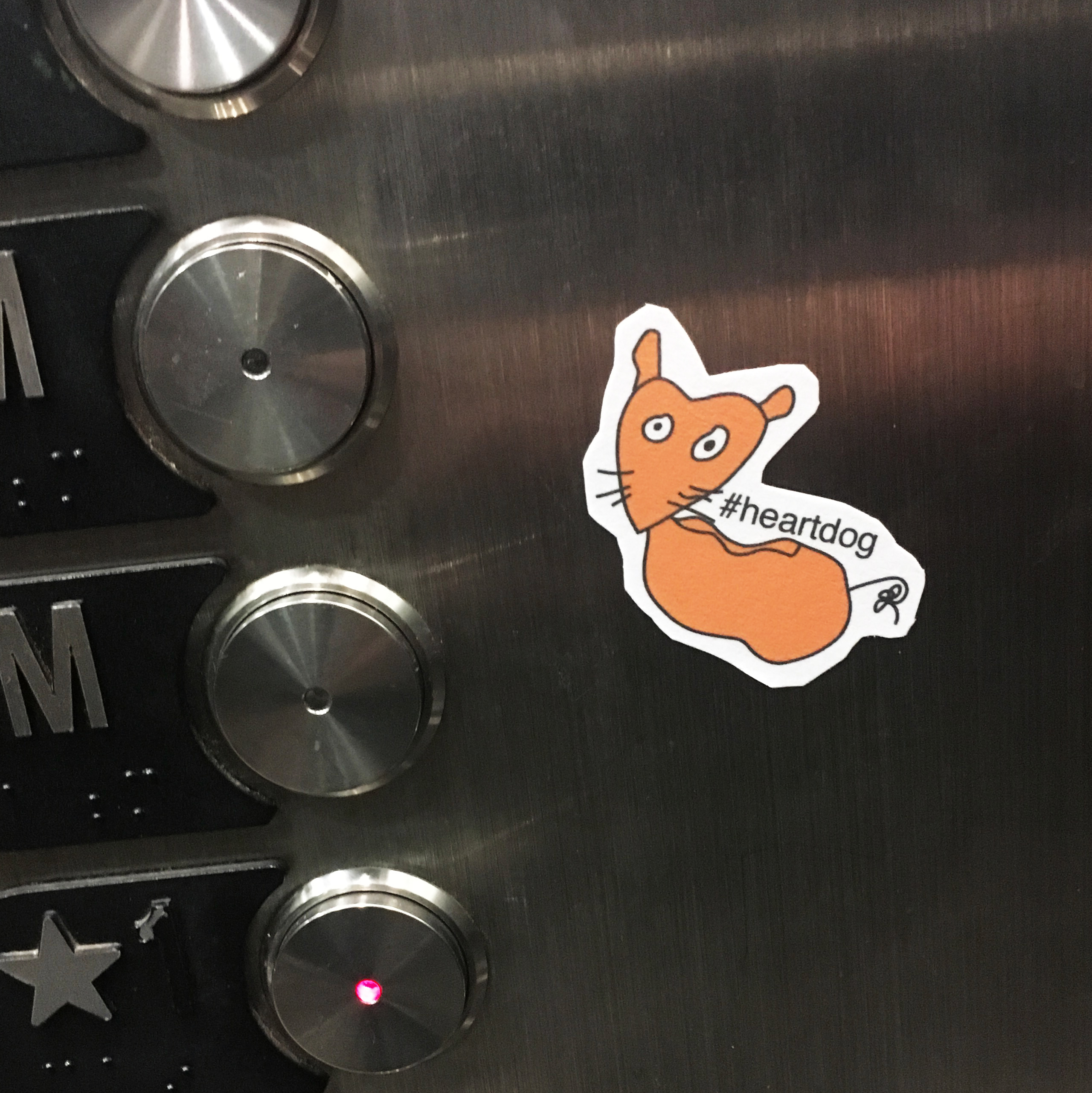 heartdog on elevator